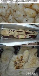 外星卫生棉电影下载