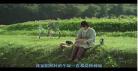 小森林电影日版免费观看