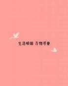 小森林语录