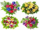 花花视频下载