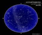 2019土星奖